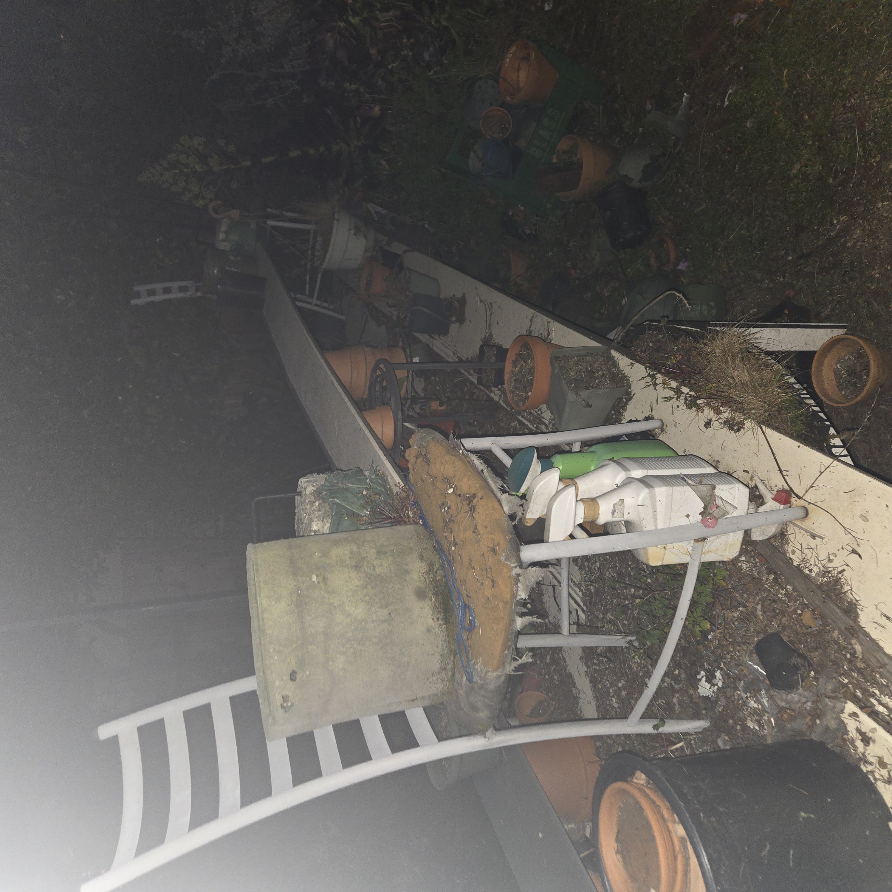 The garden now — a beautiful disaster